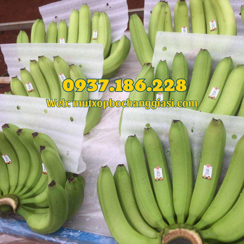 MÀNG MUT PE ĐỤC LỖ LÓT CHUỐI
