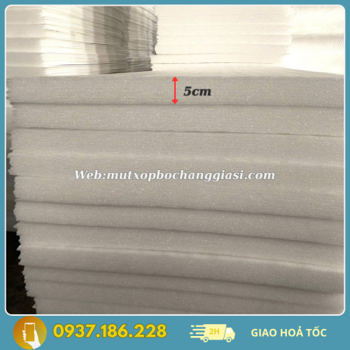 tam xop pe foam day 5cm